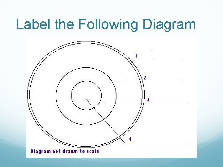Label the Following Diagram 