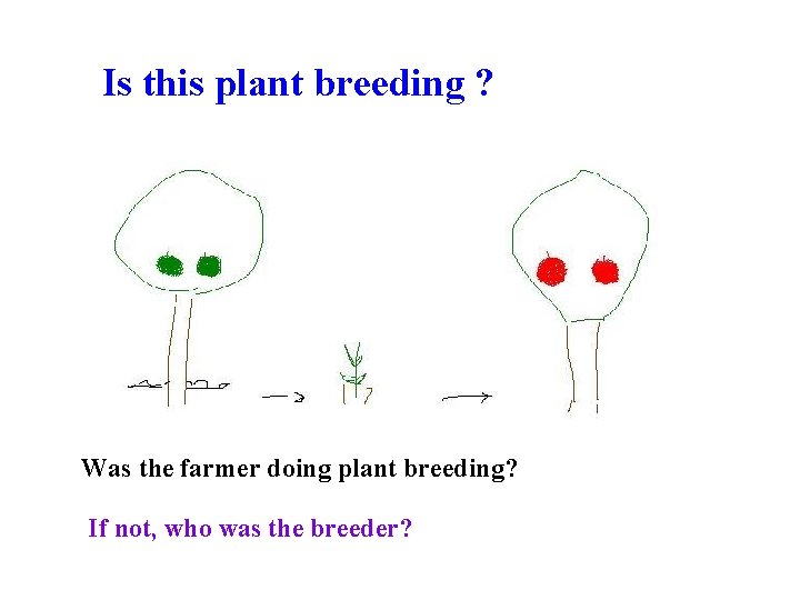 Is this plant breeding ? Was the farmer doing plant breeding? If not, who