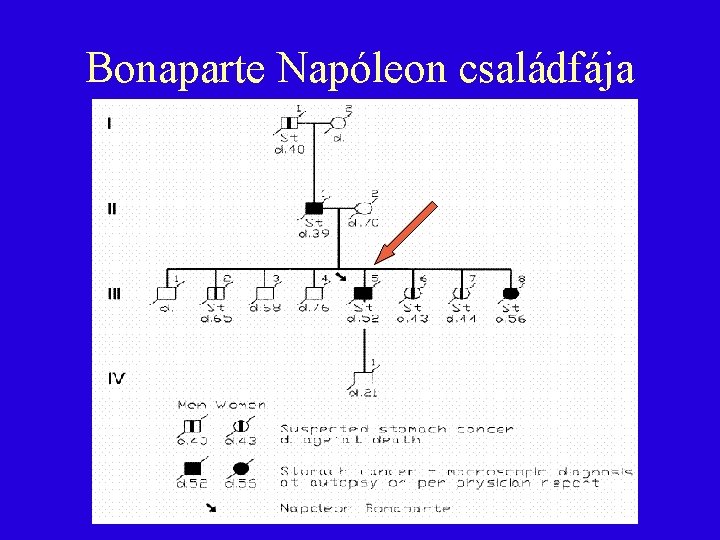 Bonaparte Napóleon családfája 