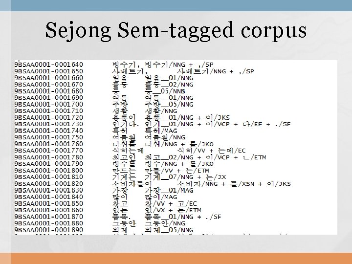 Sejong Sem-tagged corpus 