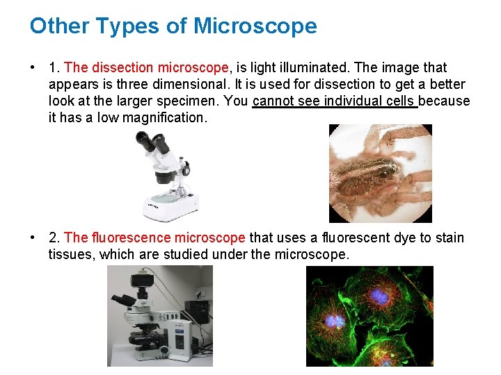 Other Types of Microscope • 1. The dissection microscope, is light illuminated. The image