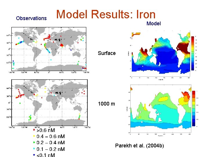 Observations Model Results: Iron Model Surface 1000 m Parekh et al. (2004 b) 