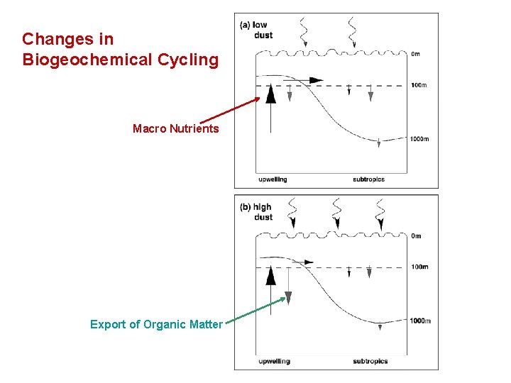Changes in Biogeochemical Cycling Macro Nutrients Export of Organic Matter 