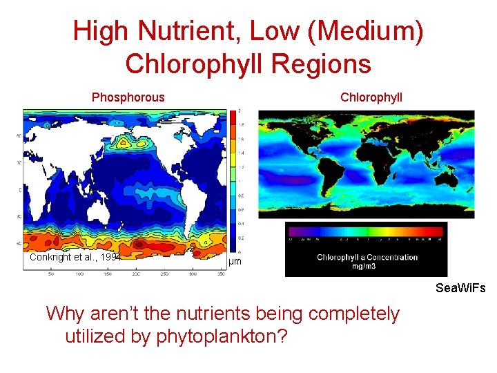 Iron and Biogeochemical Cycles Redfield Ratio C N