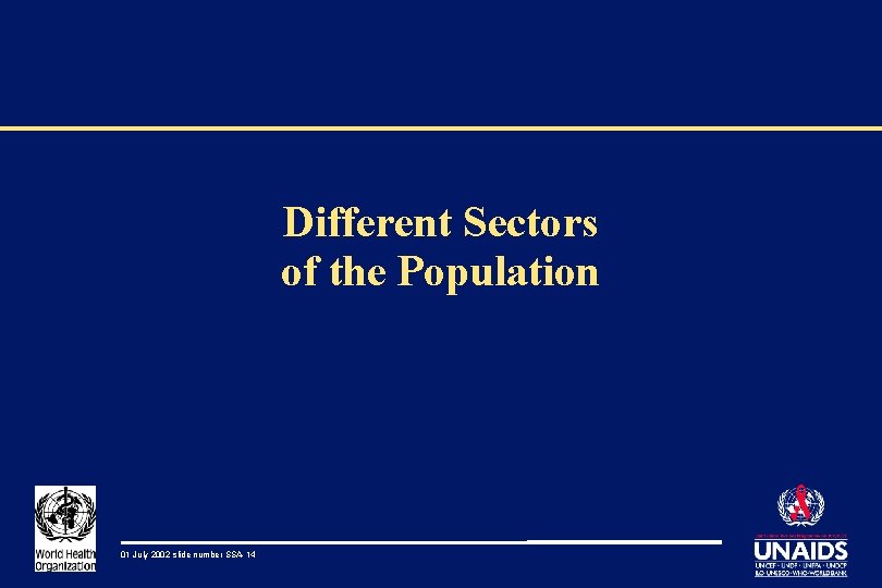Different Sectors of the Population 01 July 2002 slide number SSA-14 