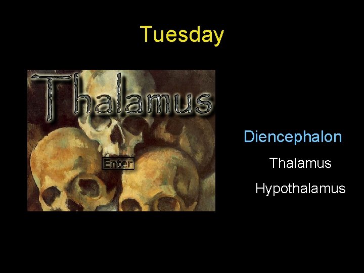 Tuesday Diencephalon Thalamus Hypothalamus 