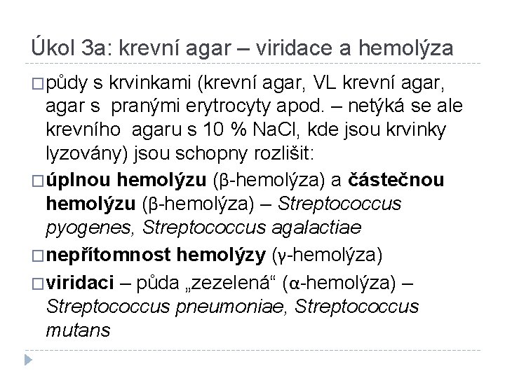 Úkol 3 a: krevní agar – viridace a hemolýza �půdy s krvinkami (krevní agar,