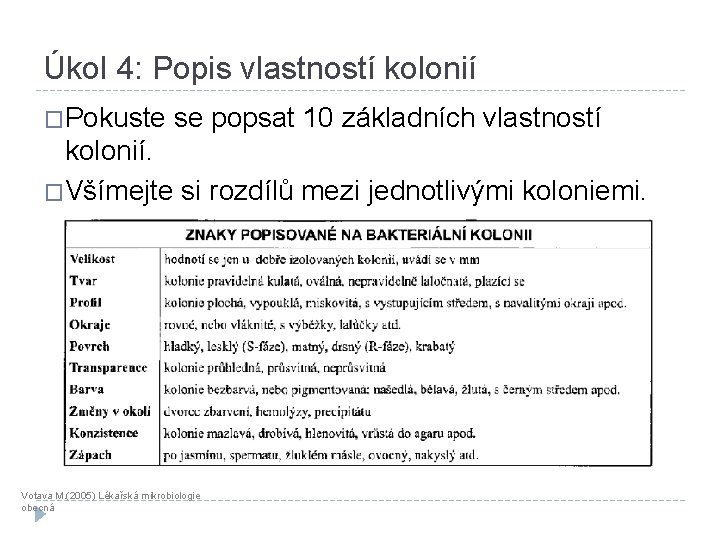 Úkol 4: Popis vlastností kolonií �Pokuste se popsat 10 základních vlastností kolonií. �Všímejte si