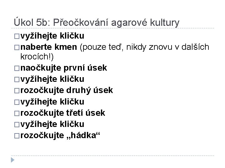 Úkol 5 b: Přeočkování agarové kultury �vyžíhejte kličku �naberte kmen (pouze teď, nikdy znovu