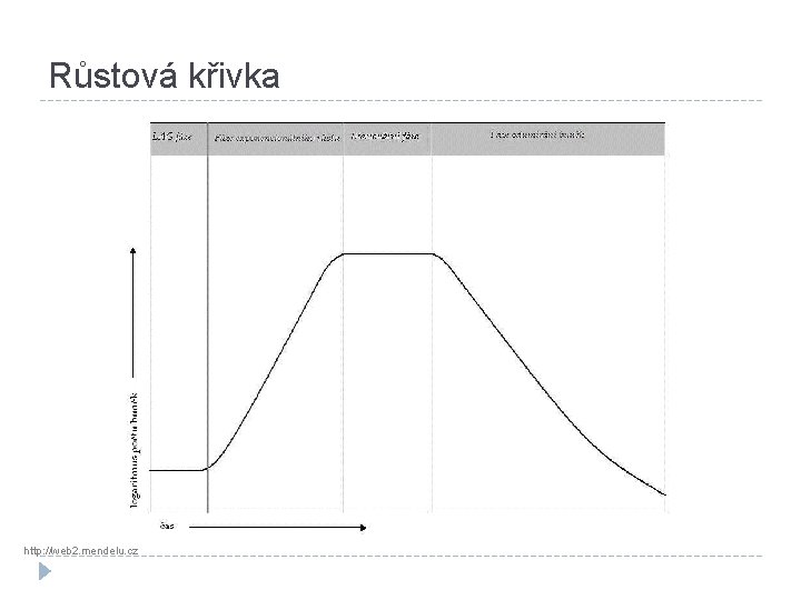 Růstová křivka http: //web 2. mendelu. cz 