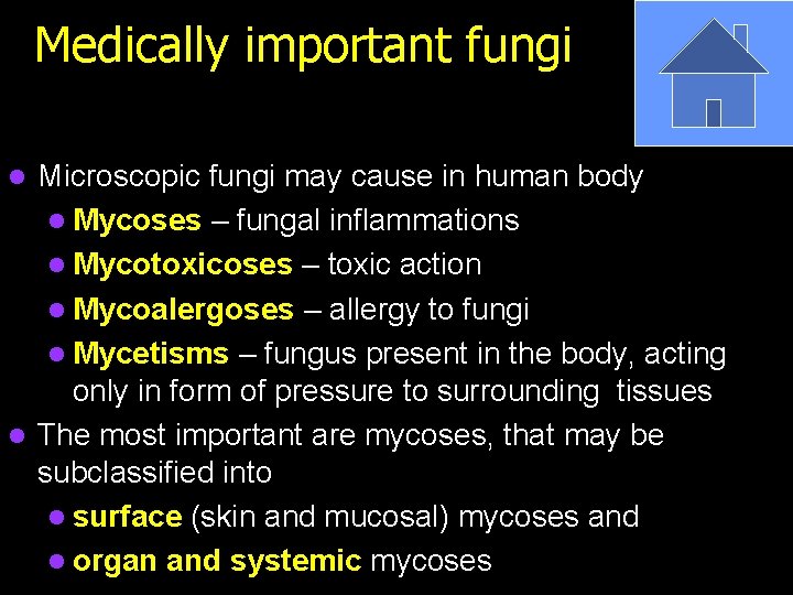 Medically important fungi Microscopic fungi may cause in human body l Mycoses – fungal