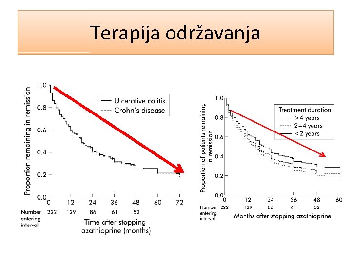 Terapija održavanja 
