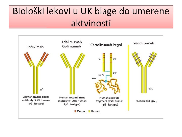 Biološki lekovi u UK blage do umerene aktvinosti 