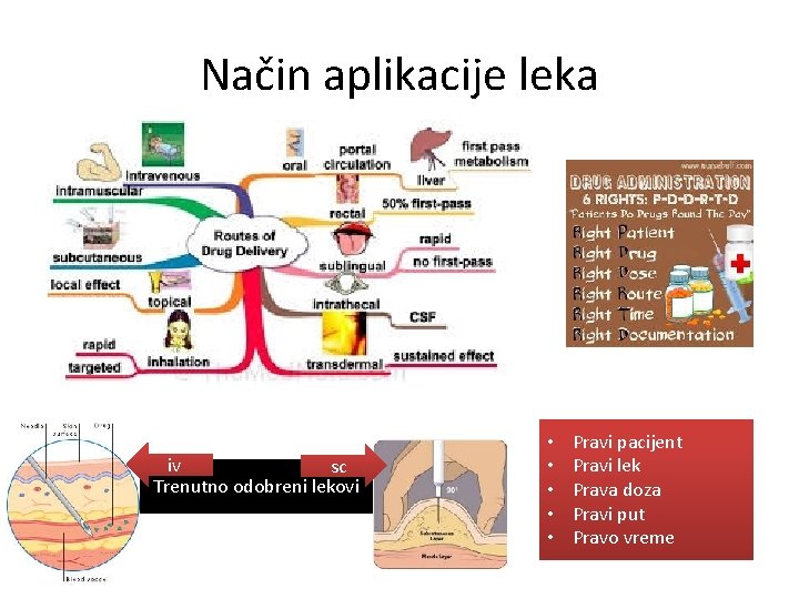 Način aplikacije leka iv sc Trenutno odobreni lekovi • • • Pravi pacijent Pravi