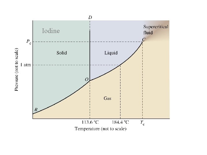 Iodine Iodine