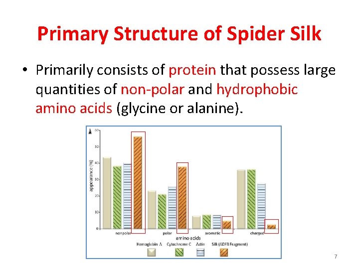 Primary Structure of Spider Silk • Primarily consists of protein that possess large quantities