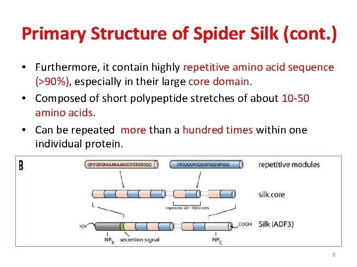 Primary Structure of Spider Silk (cont. ) • Furthermore, it contain highly repetitive amino