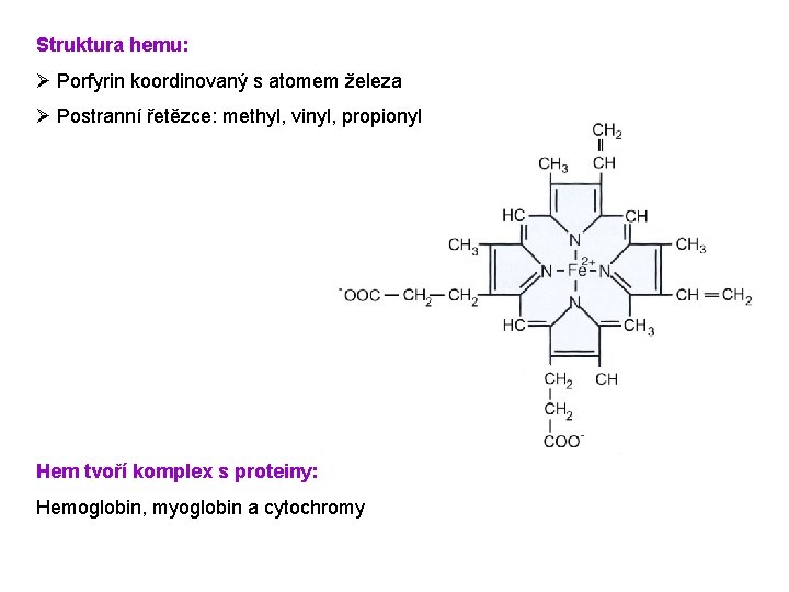 Struktura hemu: Ø Porfyrin koordinovaný s atomem železa Ø Postranní řetězce: methyl, vinyl, propionyl