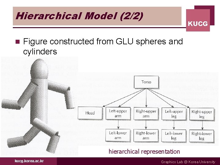 Hierarchical Model (2/2) n KUCG Figure constructed from GLU spheres and cylinders hierarchical representation