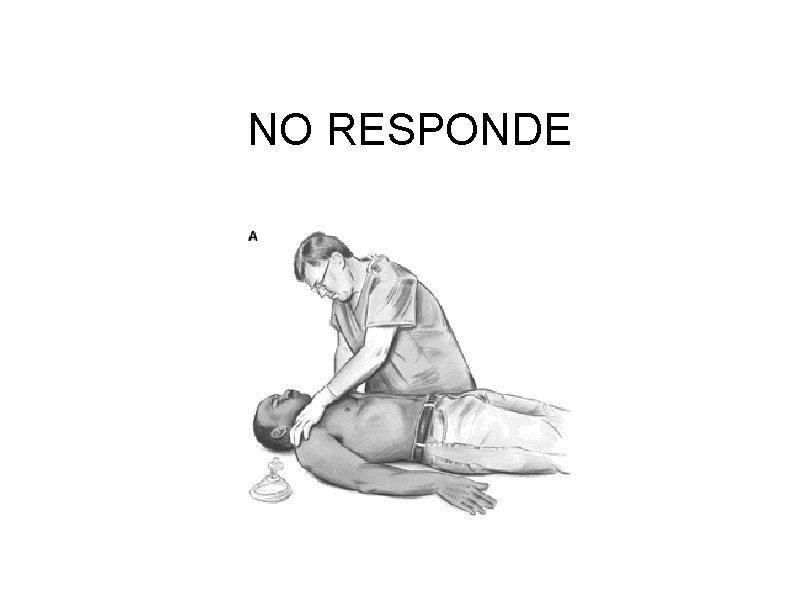 NO RESPONDE 