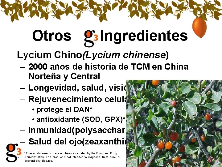 Otros Ingredientes Lycium Chino(Lycium chinense) – 2000 años de historia de TCM en China