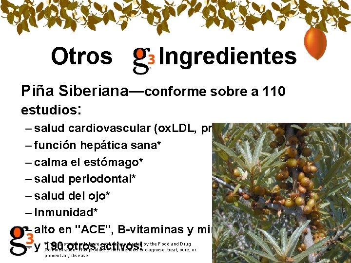 Otros Ingredientes Piña Siberiana—conforme sobre a 110 estudios: – salud cardiovascular (ox. LDL, pro