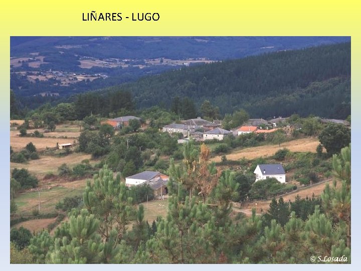 LIÑARES - LUGO 