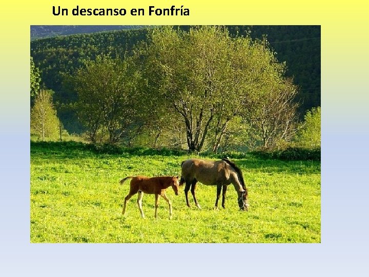 Un descanso en Fonfría 