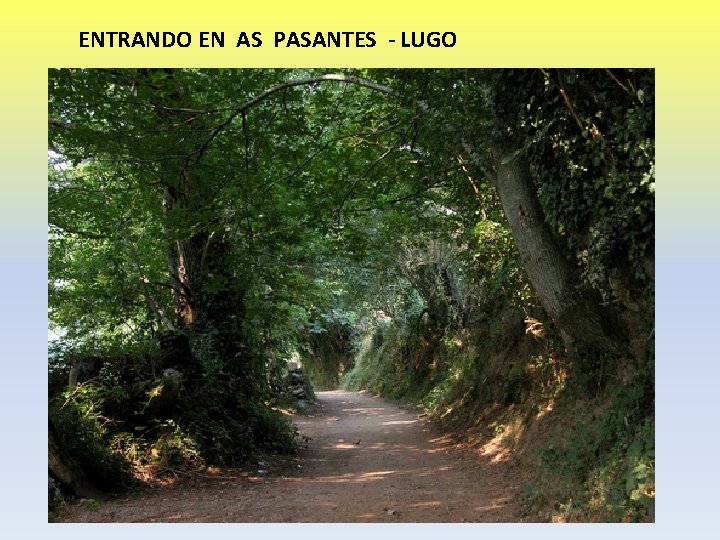 ENTRANDO EN AS PASANTES - LUGO 