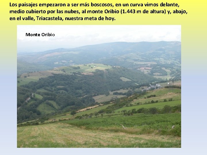 Los paisajes empezaron a ser más boscosos, en un curva vimos delante, medio cubierto