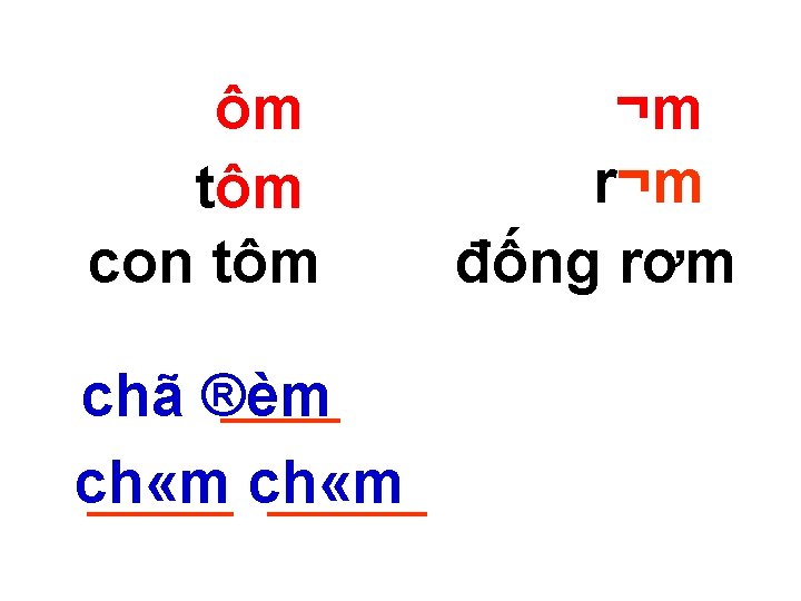 ôm tôm con tôm chã ®èm ch «m ¬m r¬m đống rơm 