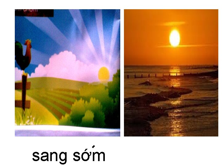 sang sớm 