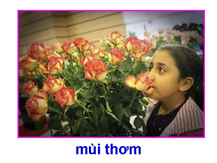 mùi thơm 