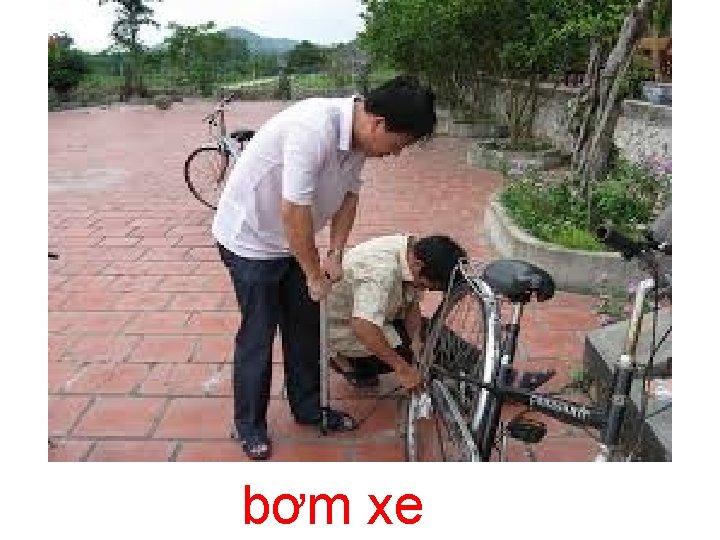 bơm xe 