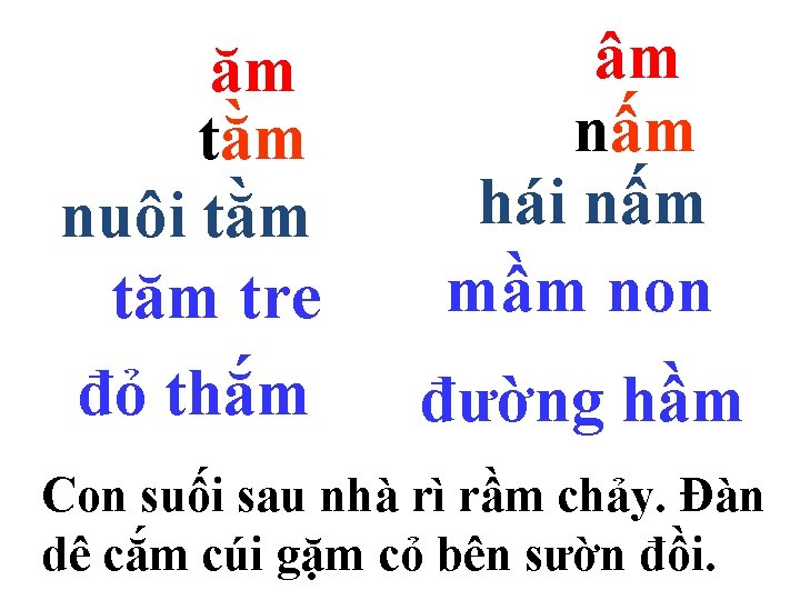 ăm tằm nuôi tằm tăm tre đỏ thắm âm nấm hái nấm mầm non