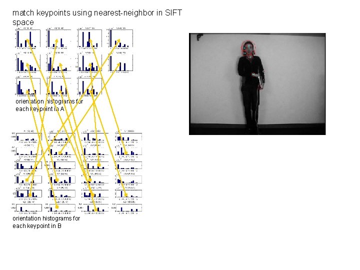 match keypoints using nearest-neighbor in SIFT space orientation histograms for each keypoint in A