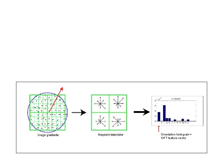 Orientation histogram = SIFT feature vector 