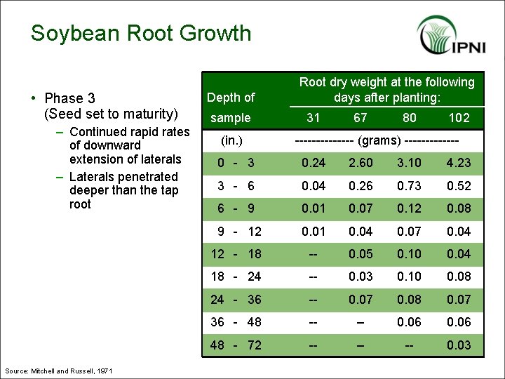 Soybean Root Growth • Phase 3 (Seed set to maturity) – Continued rapid rates