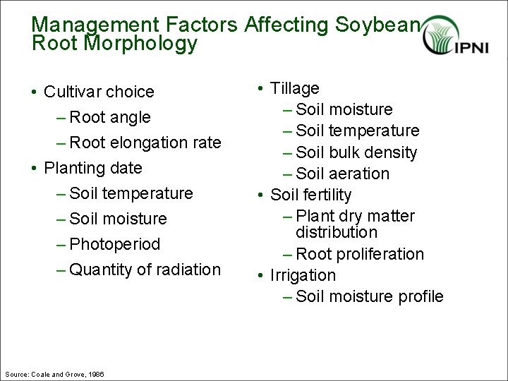 Management Factors Affecting Soybean Root Morphology • Cultivar choice – Root angle – Root