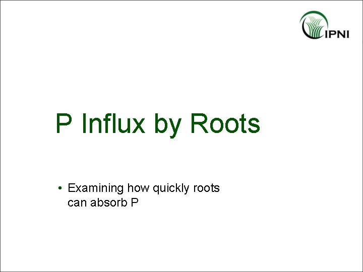 P Influx by Roots • Examining how quickly roots can absorb P 
