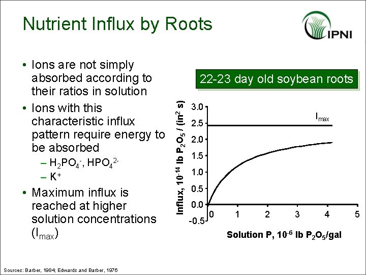 Nutrient Influx by Roots – H 2 PO 4 -, HPO 42– K+ •