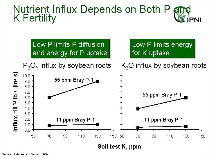 Nutrient Influx Depends on Both P and K Fertility Low P limits P diffusion