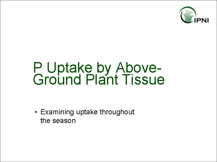 P Uptake by Above. Ground Plant Tissue • Examining uptake throughout the season 