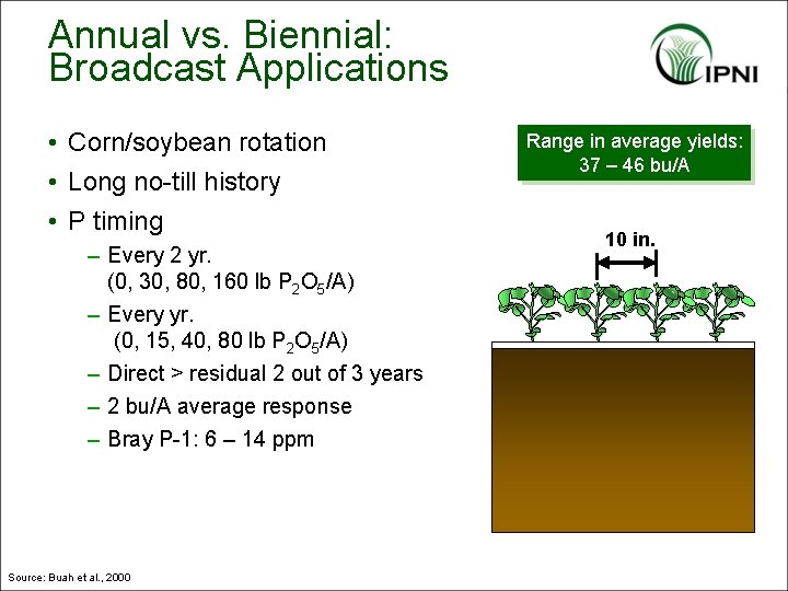 Annual vs. Biennial: Broadcast Applications • Corn/soybean rotation • Long no-till history • P