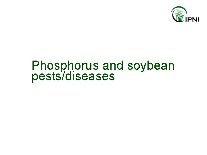Phosphorus and soybean pests/diseases 
