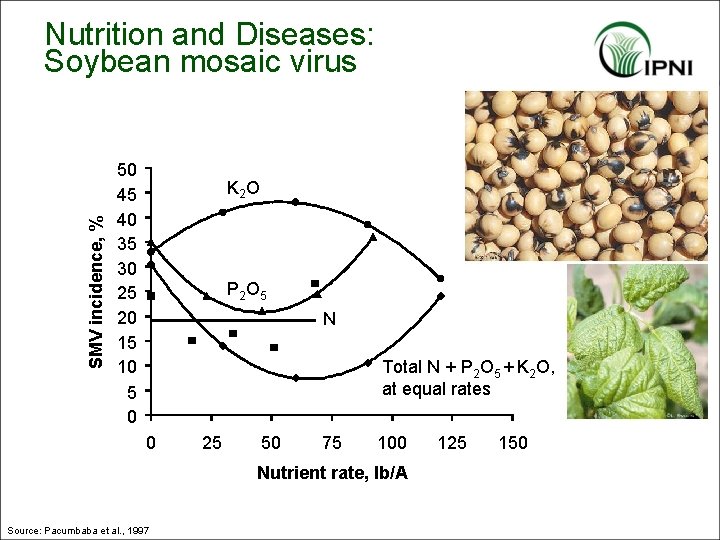 SMV incidence, % Nutrition and Diseases: Soybean mosaic virus 50 45 40 35 30