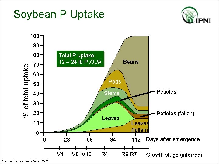 Soybean P Uptake 100 90 % of total uptake 80 Total P uptake: 12