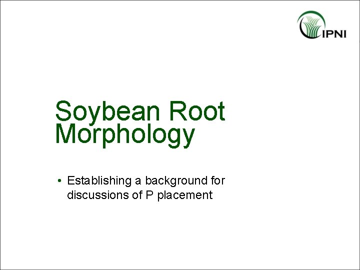 Soybean Root Morphology • Establishing a background for discussions of P placement 