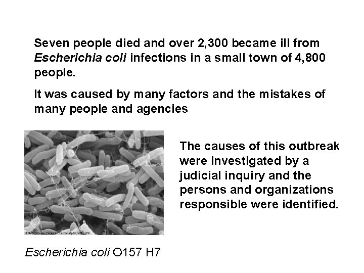 Seven people died and over 2, 300 became ill from Escherichia coli infections in