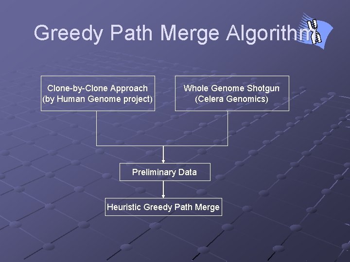 Greedy Path Merge Algorithm Clone-by-Clone Approach (by Human Genome project) Whole Genome Shotgun (Celera